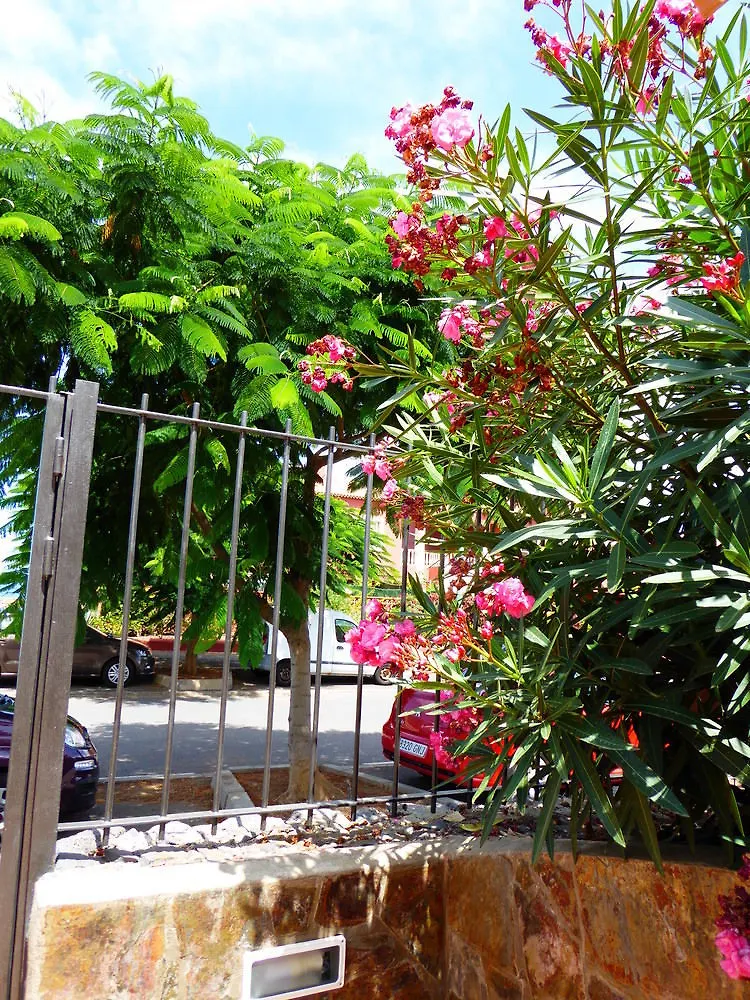 Hotel Apartamentos Villa Rosalva Punta Brava